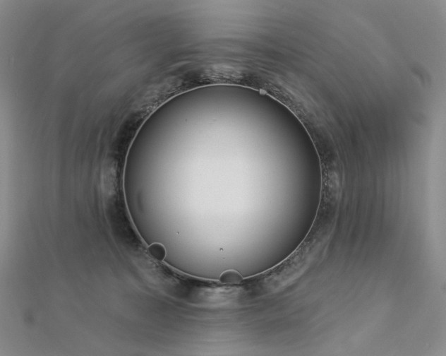 X0000112890323200908211459