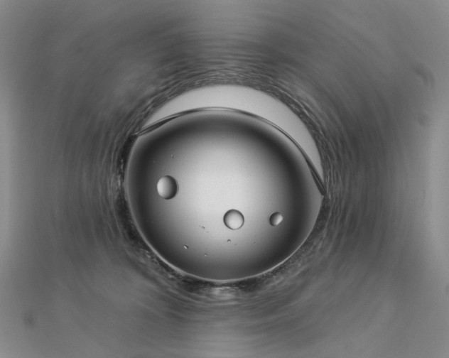 X0000112890324200908211459