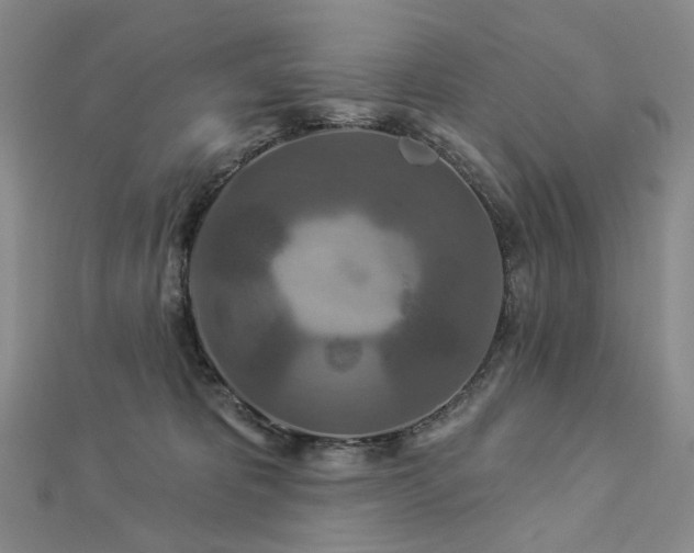 X0000112890325200908211459