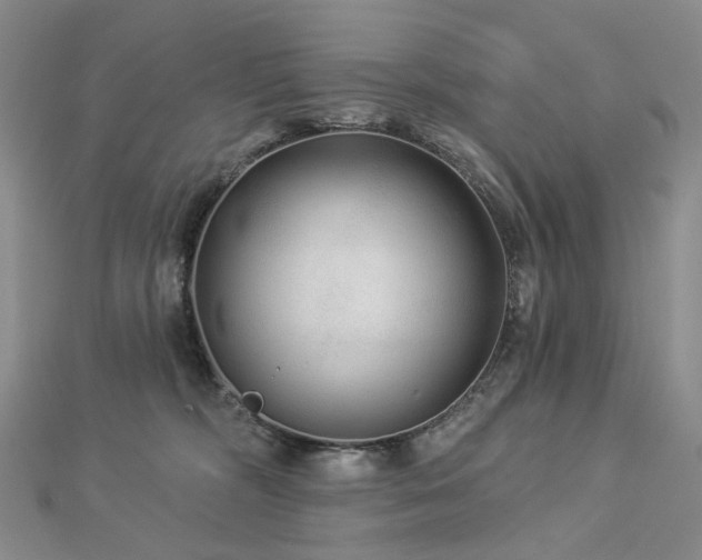 X0000112890326200908211459