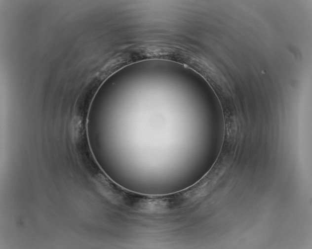 X0000112890327200908211459