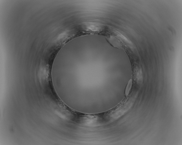 X0000112890328200908211459