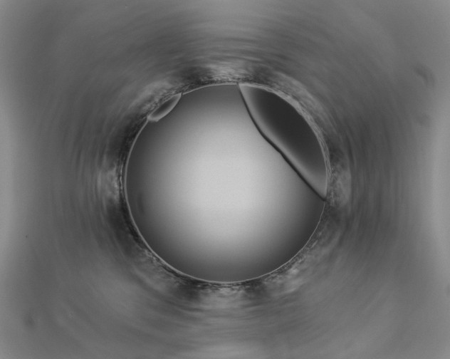 X0000112890329200908211459