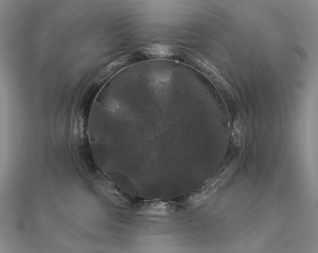 X0000112890330200908211459