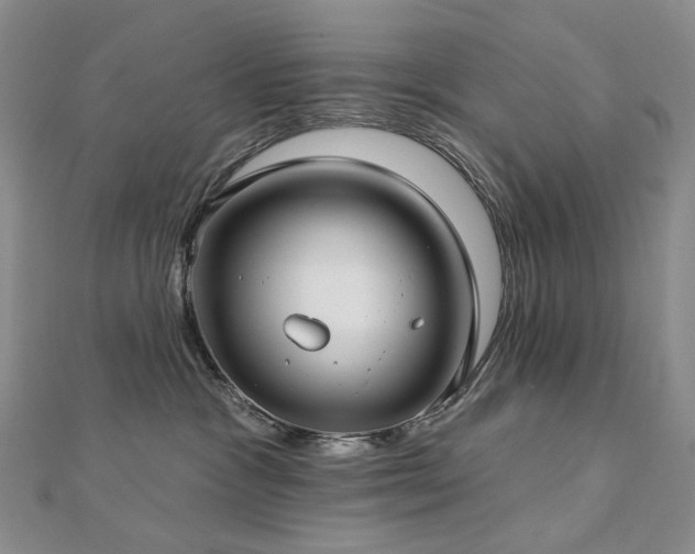 X0000112890333200908211459