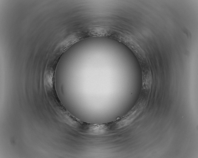 X0000112890334200908211459