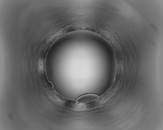 X0000112890335200908211459