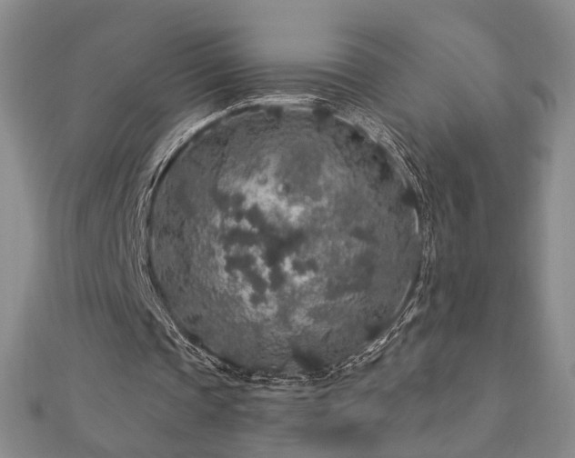 X0000112890337200908211458
