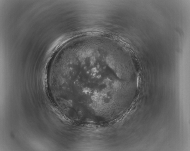 X0000112890339200908211458
