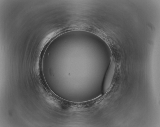X0000112890340200908211458