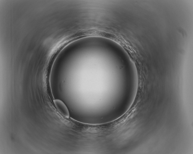X0000112890341200908211458