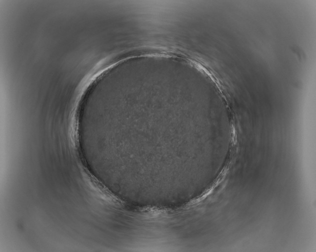 X0000112890343200908211458