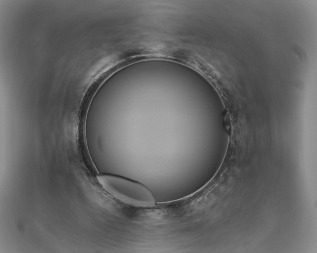X0000112890344200908211458