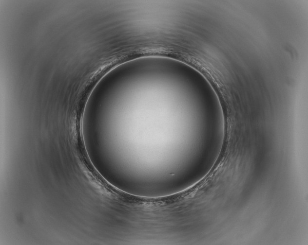 X0000112890345200908211458