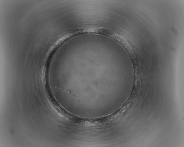 X0000112890346200908211458