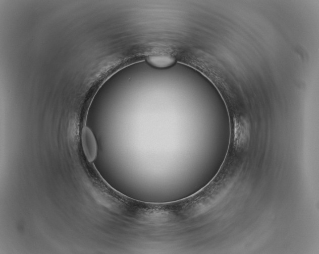 X0000112890348200908211458