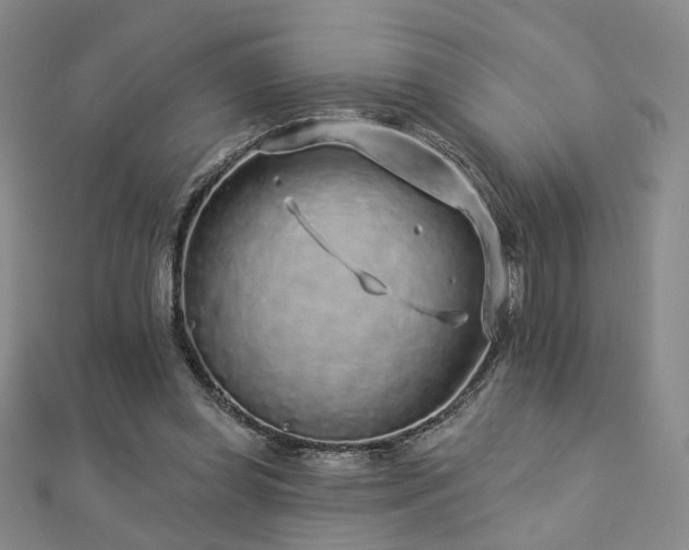 X0000112890349200908211458