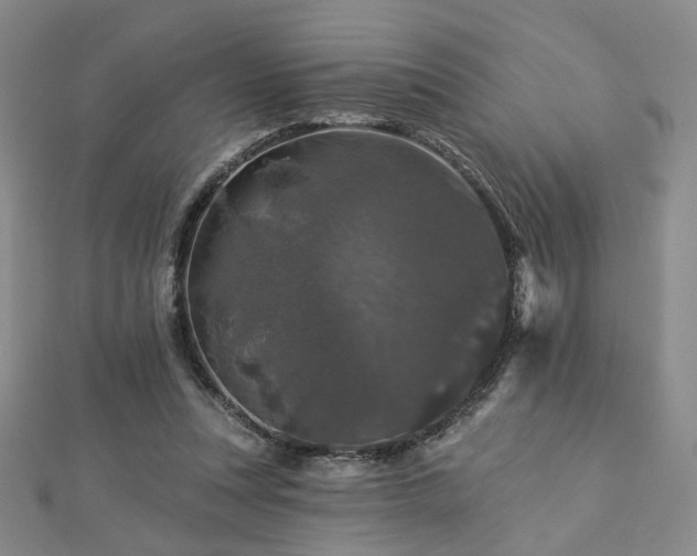 X0000112890351200908211459