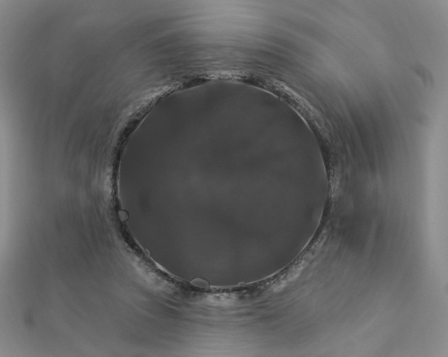 X0000112890353200908211459