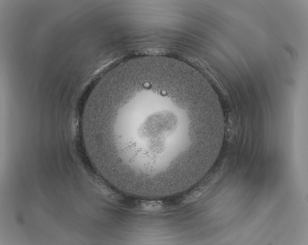 X0000112890355200908211459