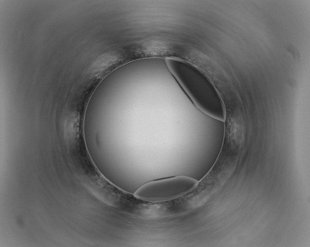 X0000112890356200908211459