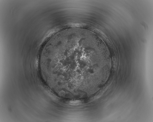 X0000112890357200908211459