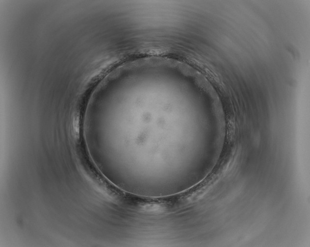 X0000112890358200908211459