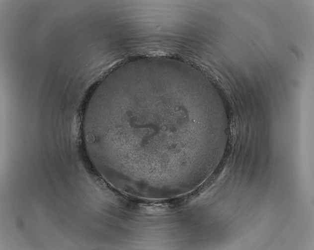 X0000112890359200908211459