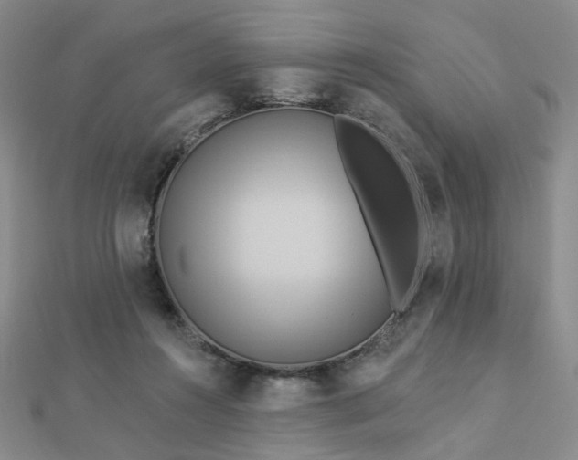 X0000112890360200908211459