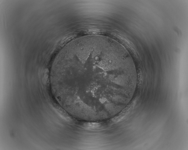 X0000112890361200908211459