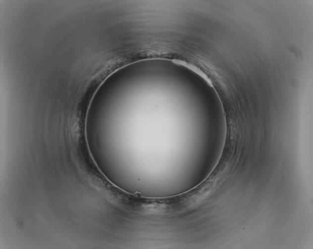 X0000112890362200908211459