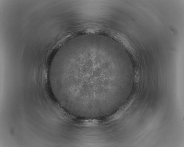 X0000112890363200908211459