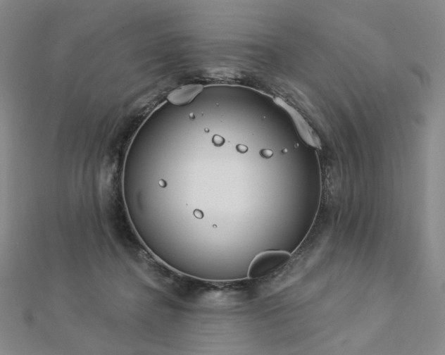 X0000112890364200908211459