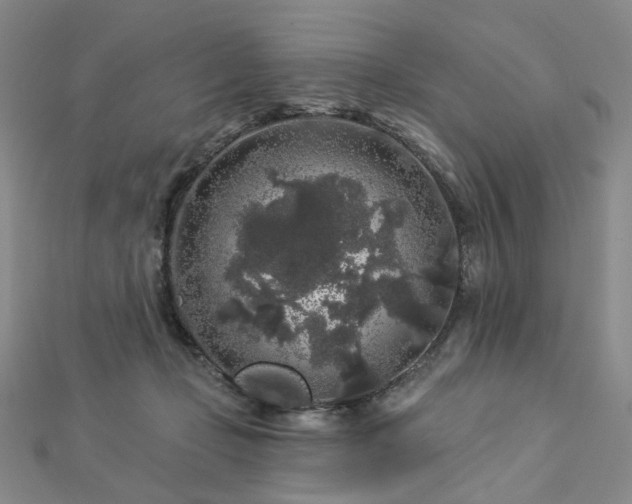 X0000112890365200908211459