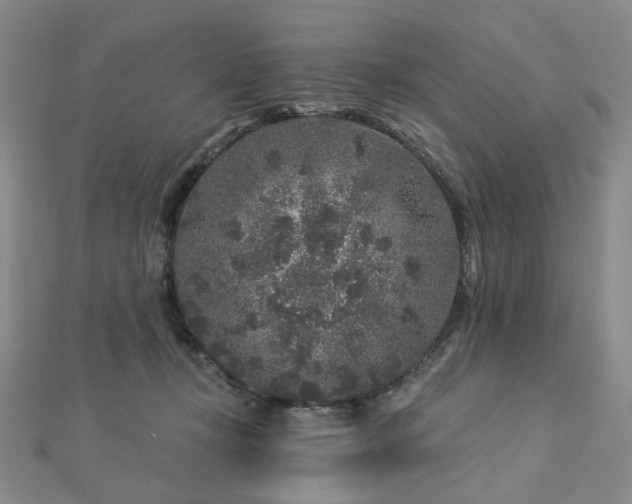 X0000112890367200908211459