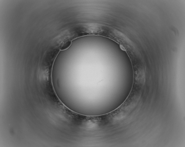 X0000112890368200908211459