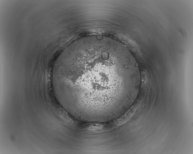 X0000112890369200908211459