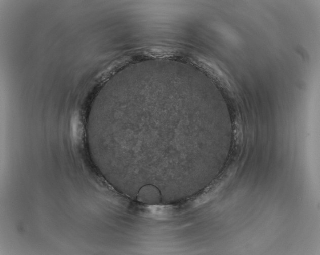 X0000112890371200908211459