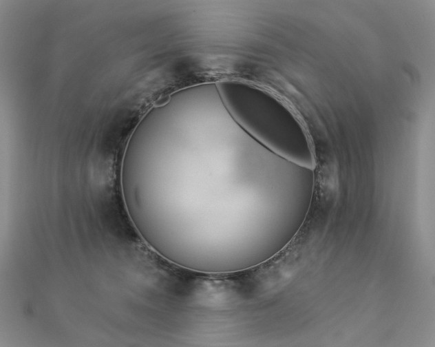 X0000112890372200908211459