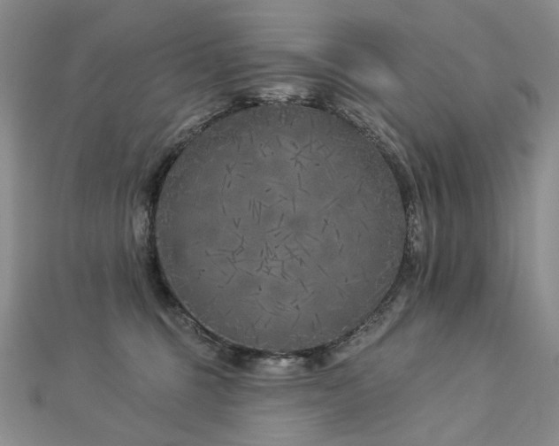 X0000112890375200908211459