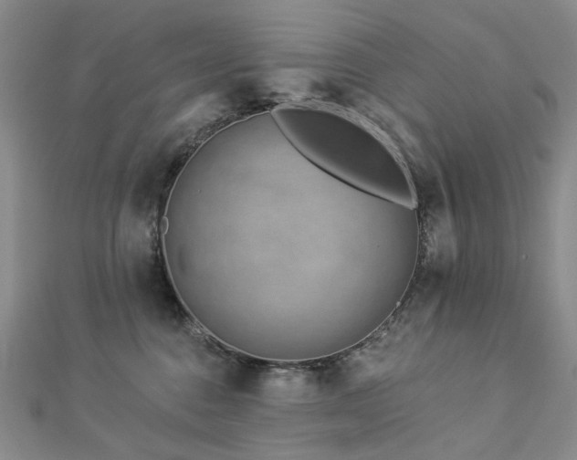 X0000112890376200908211459