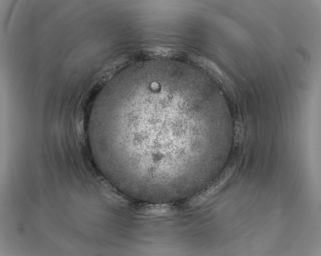 X0000112890377200908211459