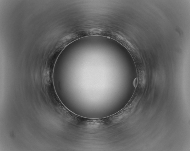 X0000112890378200908211459
