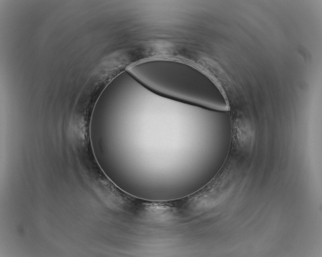 X0000112890380200908211459