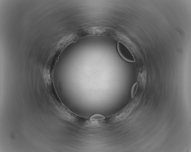 X0000112890381200908211459