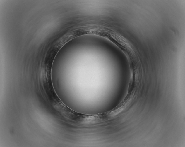 X0000112890382200908211459
