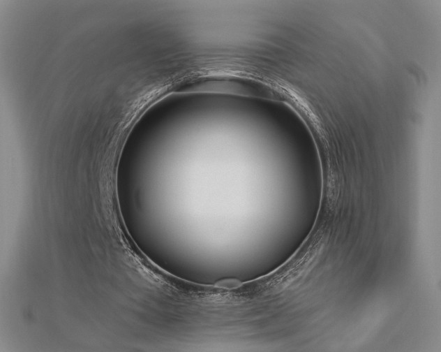 X0000112890385200908211458