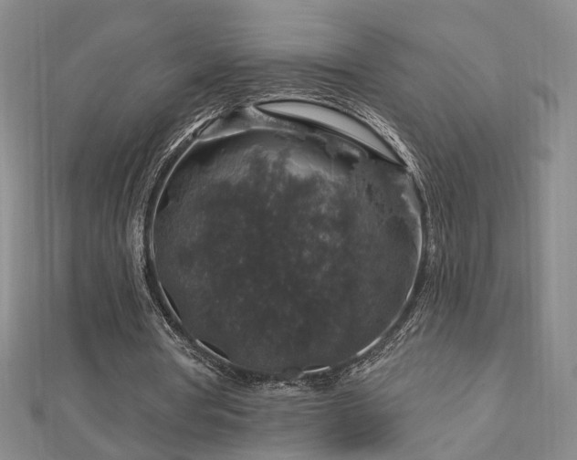 X0000112890386200908211458
