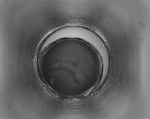 X0000112890387200908211458