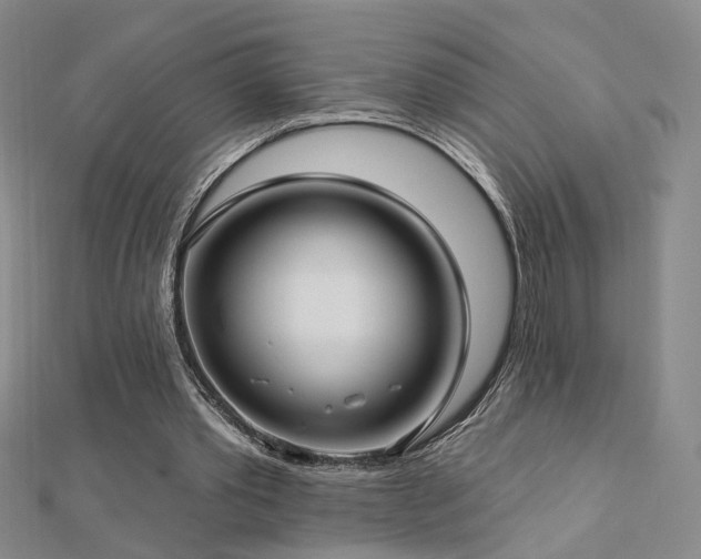 X0000112890389200908211458